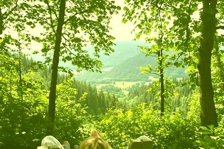 Emily, 28 — Escort in Wald, Switzerland