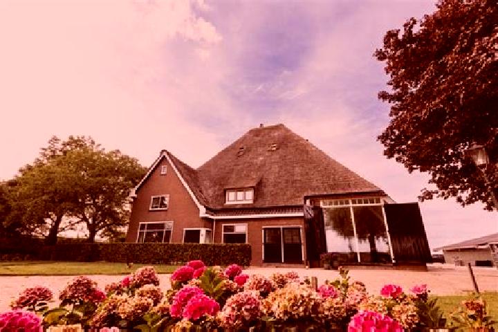 Emily, 28 — Escort in Zwaagdijk-Oost, Netherlands