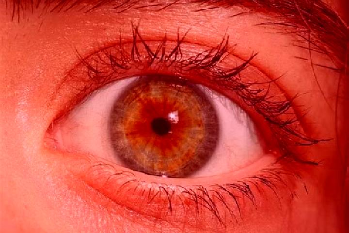 Emily, 29, a red hazel-eyed latina companion based in Fontaniva. Offering Domination, OWO, CIM, Prostate Massage. Available for incall and outcall, overnight...