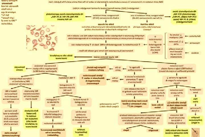 Emily, 29 — Escort in Yatayti Calle, Argentina