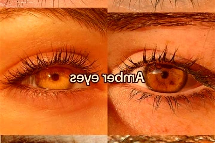Emily, 30, a chestnut amber-eyed slavic companion based in Sindor. Offering Domination, GFE, OWO. Available for incall and outcall, day and evening dates.