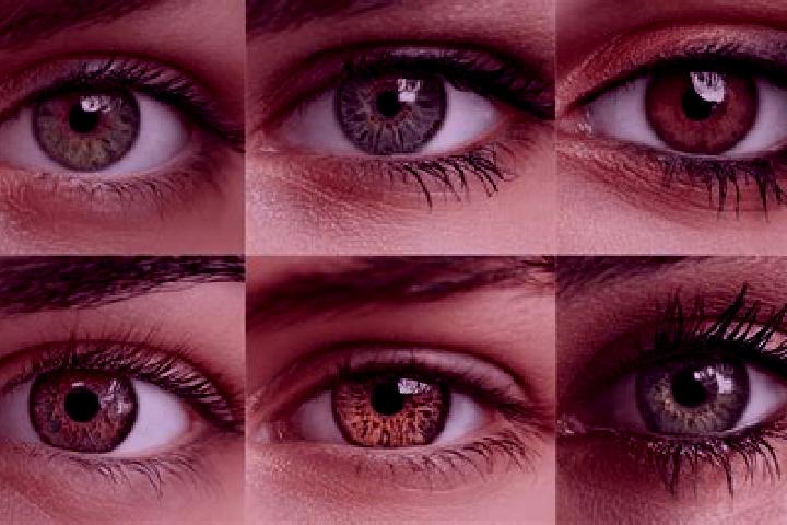 Emily, 30, a red hazel-eyed caucasian companion based in Duni. Offering Travel Companion, Couples, Tantra. Available for incall and outcall, day and evening ...