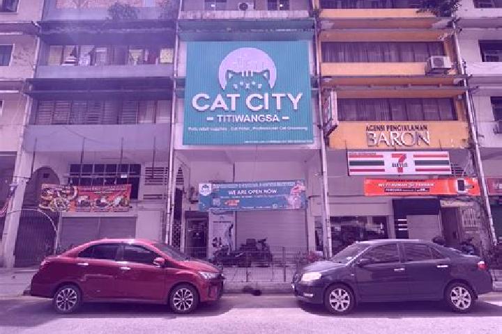 Emily, 30 — Escort in Proton City, Malaysia