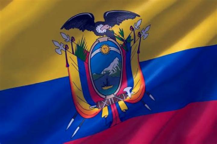 Emily, 31 — Escort in Anchayacu, Ecuador