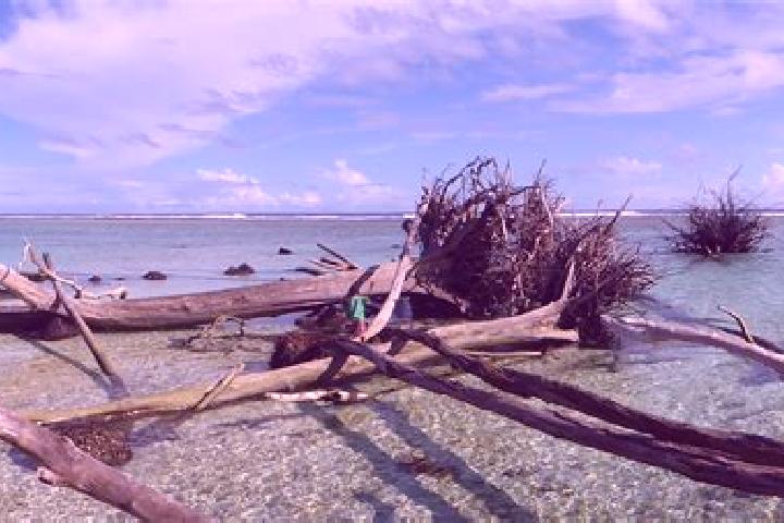 Emily, 31 — Escort in Mataniko, Solomon Islands