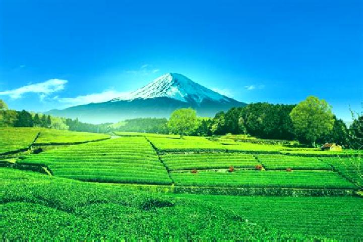Emily, 31 — Escort in Obuchi, Japan