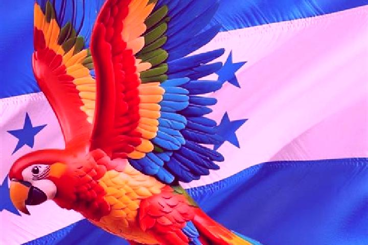 Emily, 32 — Escort in Flores, Honduras