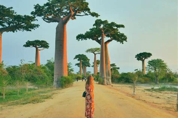 Emily, 32 — Escort in Morondava, Madagascar