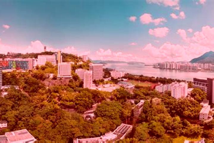 Emily, 32 — Escort in Yau Yat Chuen, Hong Kong