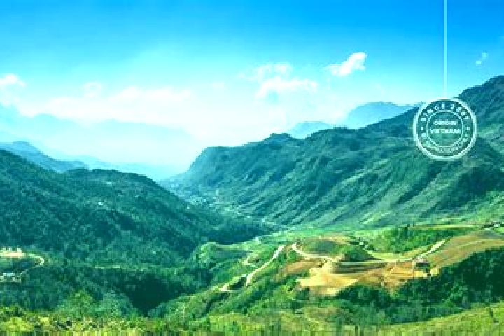 Emily, 34 — Escort in Lao Cai, Vietnam