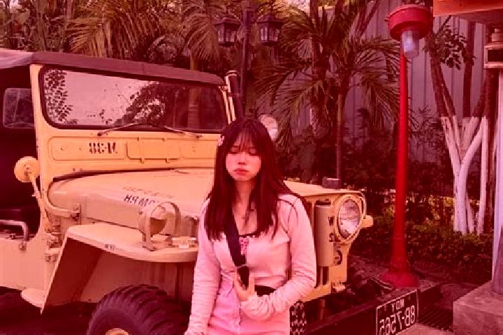 Emily, 34 — Escort in Shwe Hle Gyaung, Myanmar