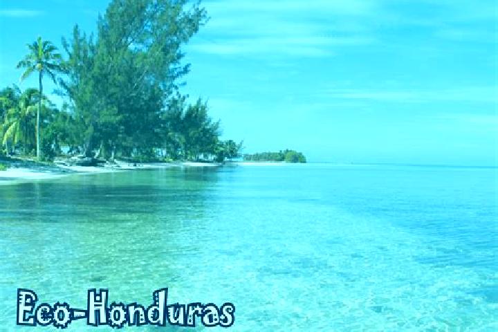 Emily, 35 — Escort in Mandasta, Honduras