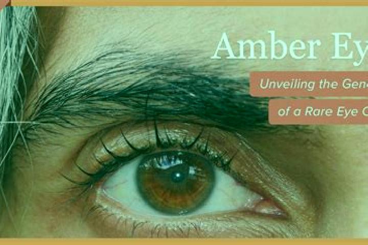 Emily, 36, a red amber-eyed mixed companion based in Chi Thanh. Offering A-Level, Roleplay, Striptease, Tantra. Available for incall and outcall, day and eve...