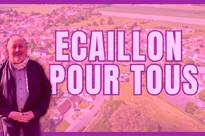 Emily, 38 — Escort in Ecaillon, France