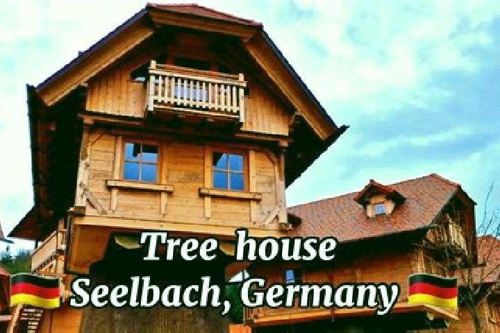 Emily, 38 — Escort in Seelbach, Germany