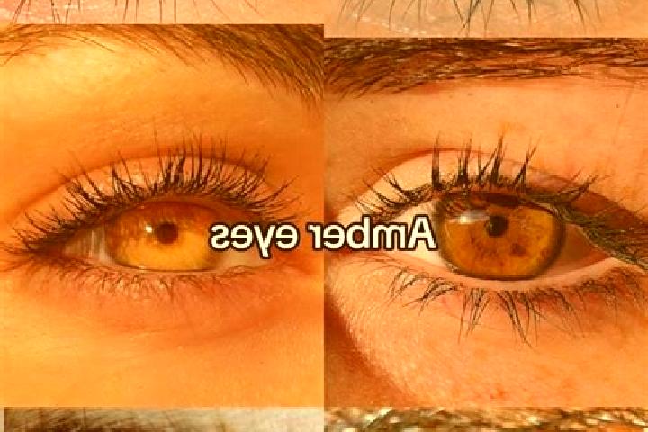 Emily, 39, a chestnut amber-eyed indian companion based in Lajatico. Offering 69, GFE, Duos, Striptease. Available for incall and outcall, overnight bookings...