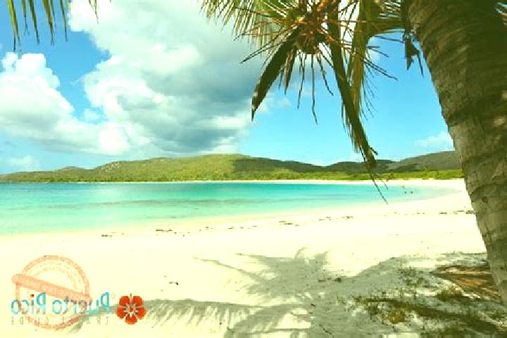 Emily, 39 — Escort in Culebra, Puerto Rico