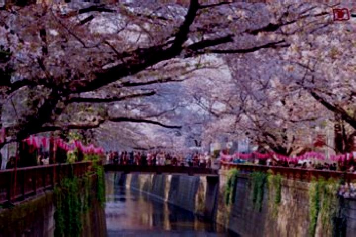 Emily, 39 — Escort in Itogawa, Japan