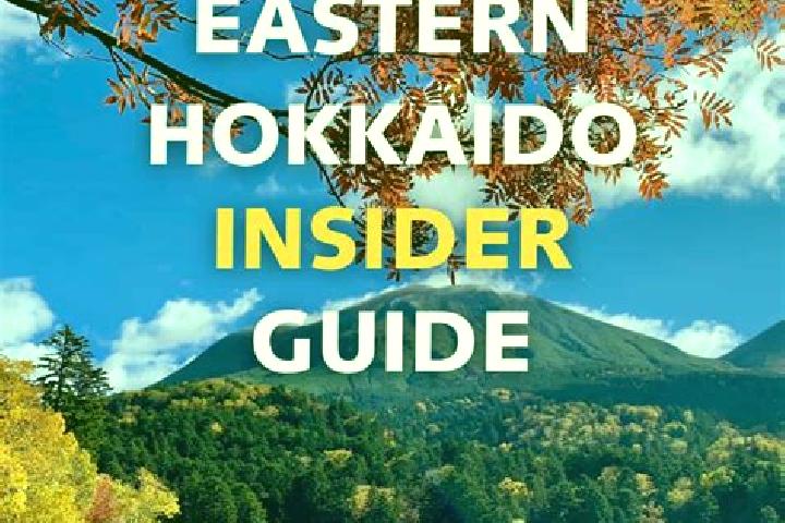 Emily, 39 — Escort in Koshimizu, Japan