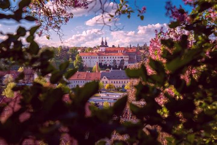 Emily, 39 — Escort in Mnisek, Czech Republic