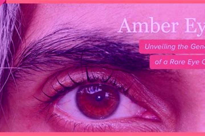 Emma, 20, a red amber-eyed caucasian companion based in Crescencio Morales (San Mateo). Offering OWO, 69, Massage, Couples. Available for incall and outcall,...