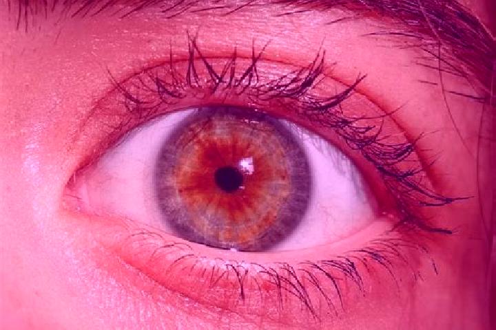 Emma, 20, a red hazel-eyed european companion based in Kopen. Offering Girlfriend Experience, CIM, Domination. Available for incall and outcall, day and even...