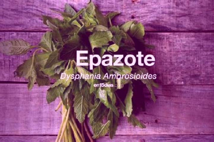 Emma, 20 — Escort in El Epazote, Mexico