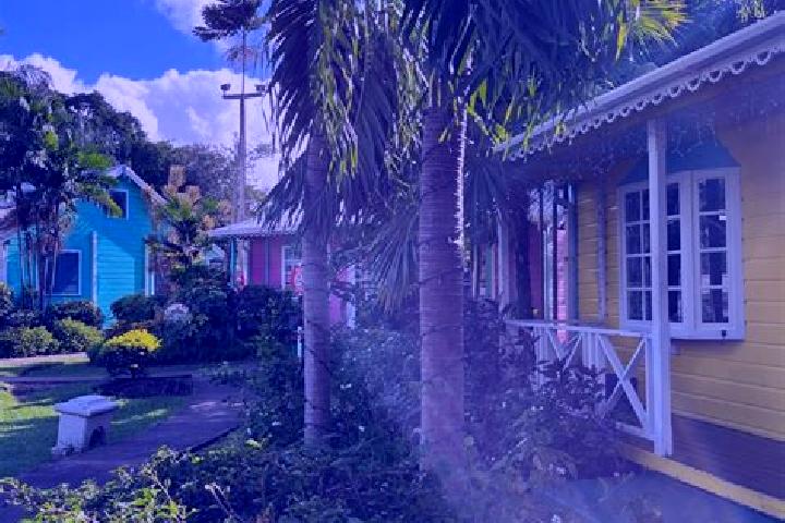 Emma, 20 — Escort in Holetown, Barbados