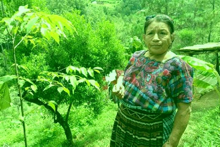 Emma, 21 — Escort in Santa Maria Chiquimula, Guatemala