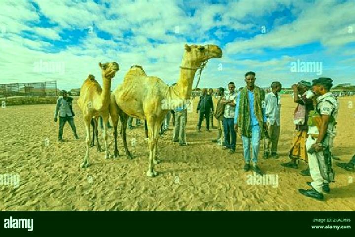Emma, 22 — Escort in Burao, Somalia