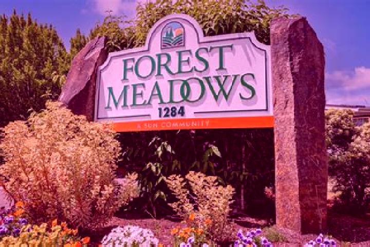Emma, 22 — Escort in Forest Meadows, United States