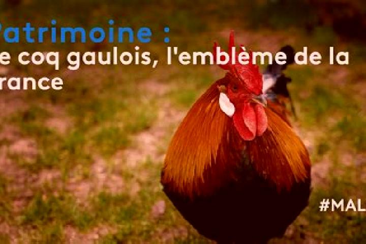 Emma, 22 — Escort in Landes-le-Gaulois, France