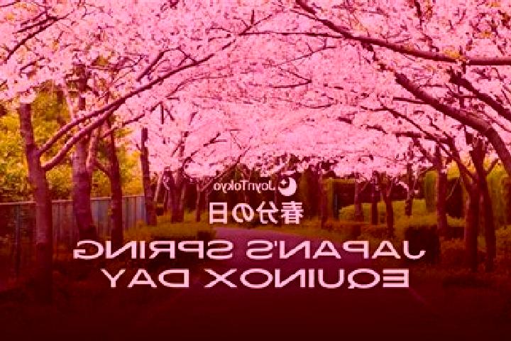 Emma, 22 — Escort in Oshiage, Japan