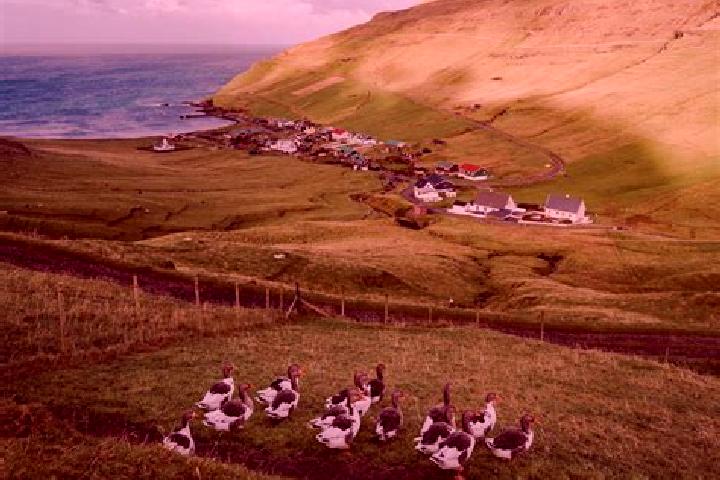 Emma, 22 — Escort in Skali, Faroe Islands