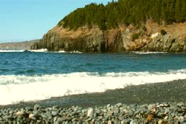 Emma, 24, a red amber-eyed asian companion based in Logy Bay-Middle Cove-Outer Cove. Offering Striptease, BDSM, A-Level, Party Girl. Available for incall and...