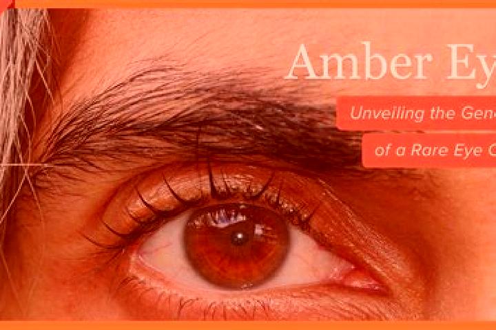 Emma, 24, a red amber-eyed ebony companion based in Kozelets. Offering Girlfriend Experience, Fetish, Domination, CIM. Available for incall and outcall, day ...