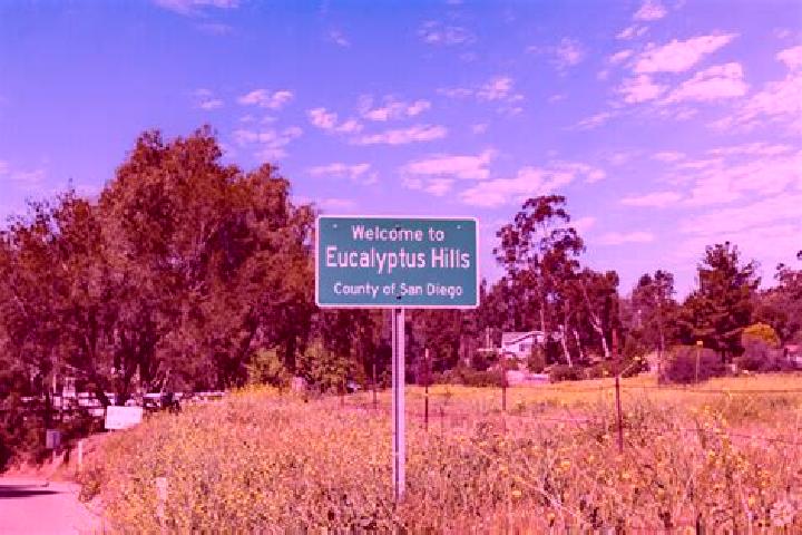 Emma, 24 — Escort in Eucalyptus Hills, United States