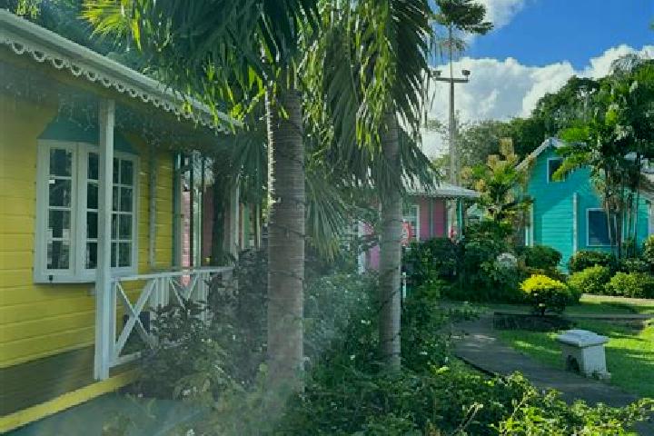 Emma, 24 — Escort in Holetown, Barbados