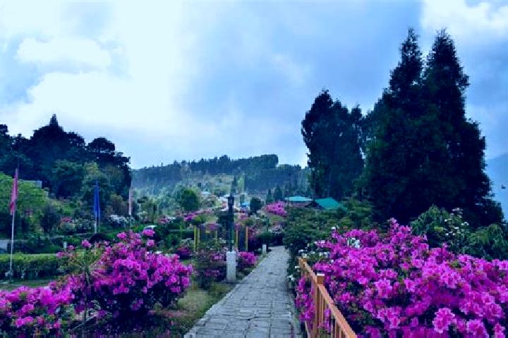 Emma, 24 — Escort in Kalimpong, Kruketi, India