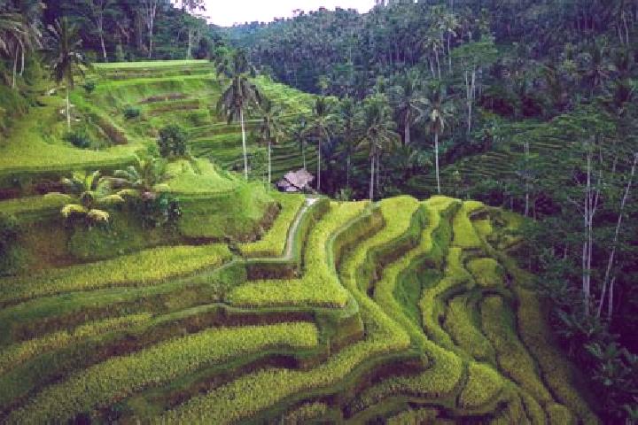 Emma, 24 — Escort in Tegalalang, Indonesia