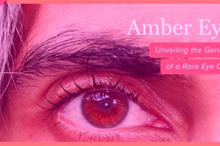 Emma, 26, a black amber-eyed slavic companion based in Boma. Offering Erotic Massage, Dinner Date, Prostate Massage, Roleplay, BDSM. Available for incall and...