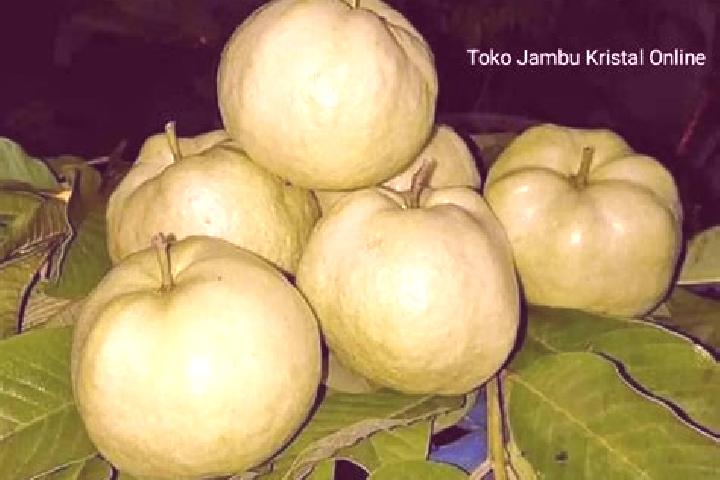 Emma, 26 — Escort in Jambu, Indonesia