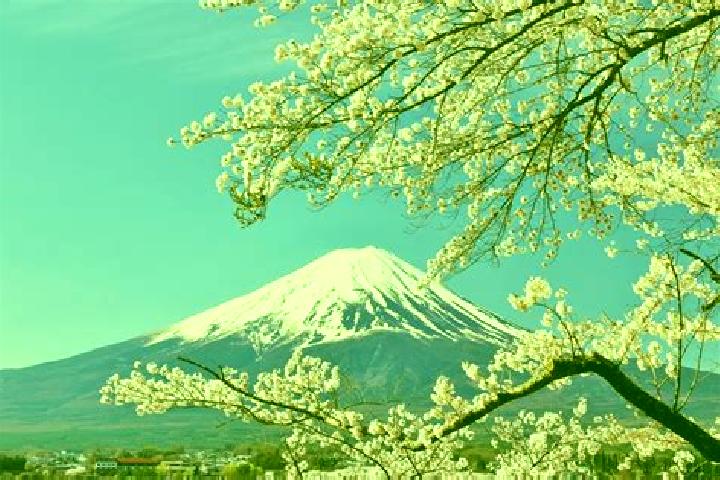 Emma, 26 — Escort in Koshi, Japan