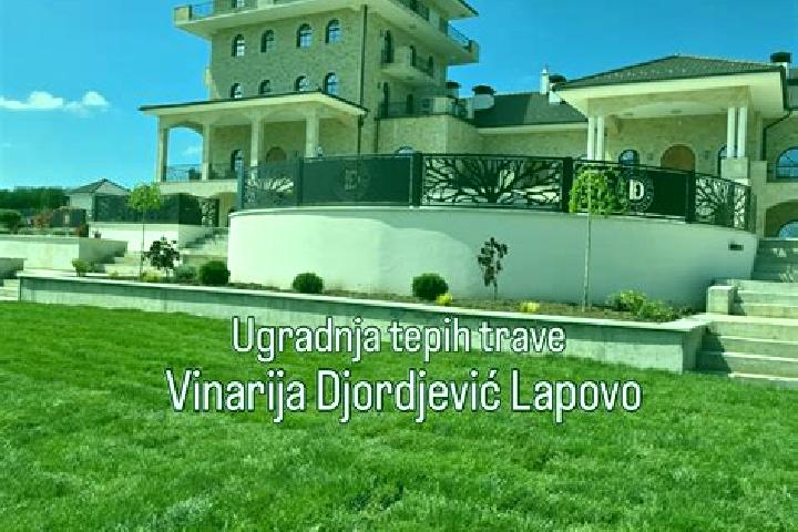 Emma, 26 — Escort in Lapovo, Serbia