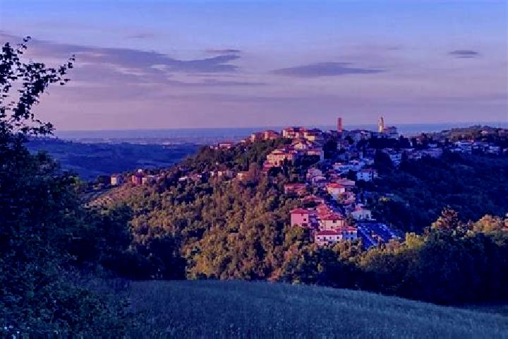 Emma, 26 — Escort in Sogliano al Rubicone, Italy