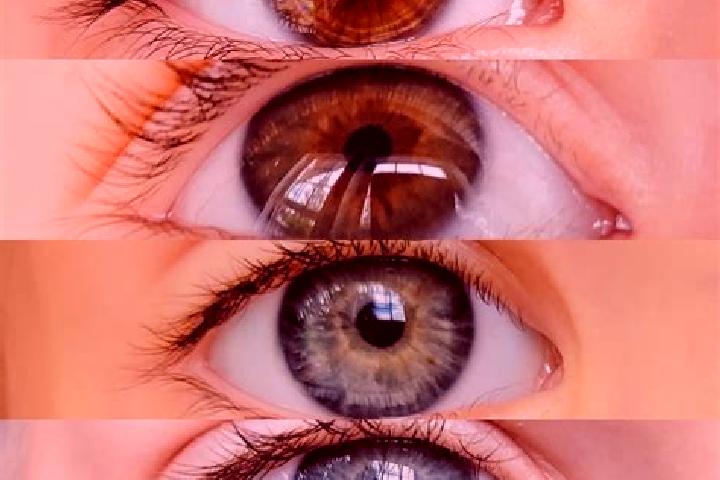 Emma, 27, a chestnut hazel-eyed indian companion based in Melgar de Arriba. Offering Domination, Massage, Dinner Date. Available for incall and outcall, day ...