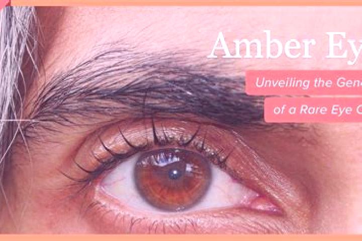 Emma, 28, a black amber-eyed indian companion based in Ellalong. Offering Massage, Overnight. Available for incall and outcall, day and evening dates.