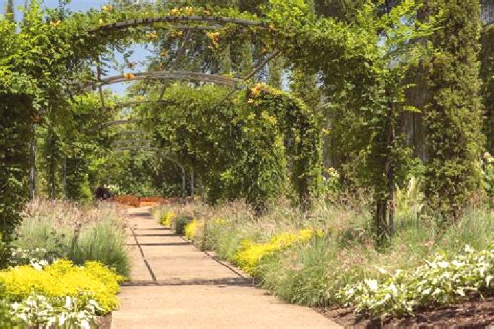 Emma, 29 — Escort in University Gardens, United States