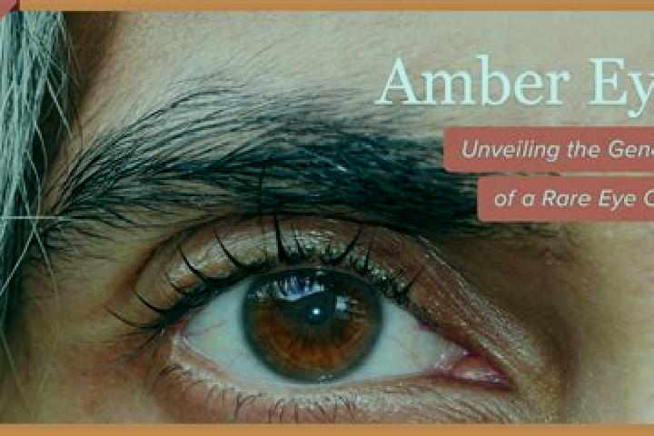Emma, 31, a red amber-eyed slavic companion based in Jembayan Hitam. Offering Tantra, Overnight, A-Level. Available for incall and outcall, overnight booking...