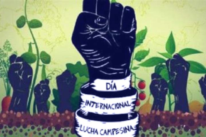 Emma, 31 — Escort in Colonia Ecologica Asociacion de Lucha Social (Lucha Social), Mexico